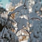 Winterfantasie im Herbst! - Une oeuvre artistique de l'hiver!