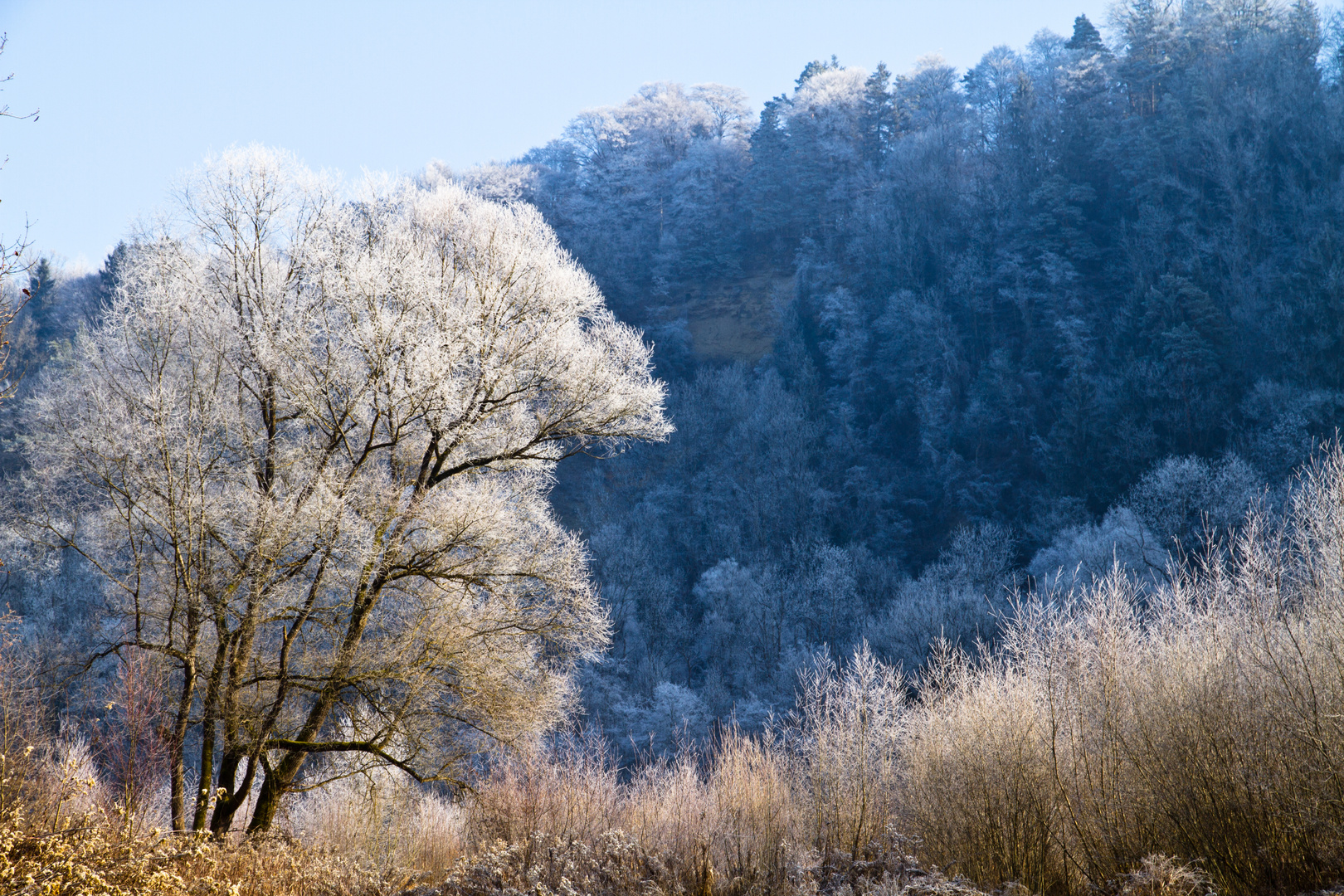 Winterfarben