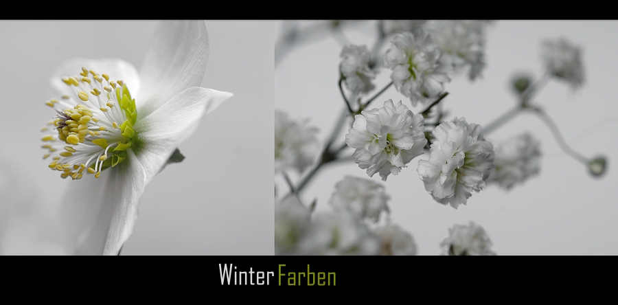 WinterFarben