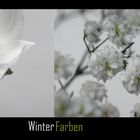WinterFarben