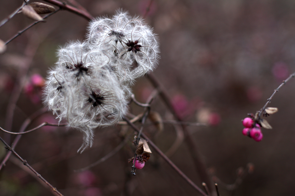 Winterfarben