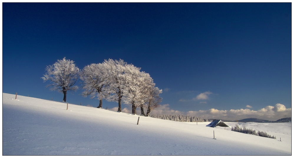 Winterfarben 2