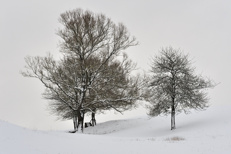 *winterfarben (3)*