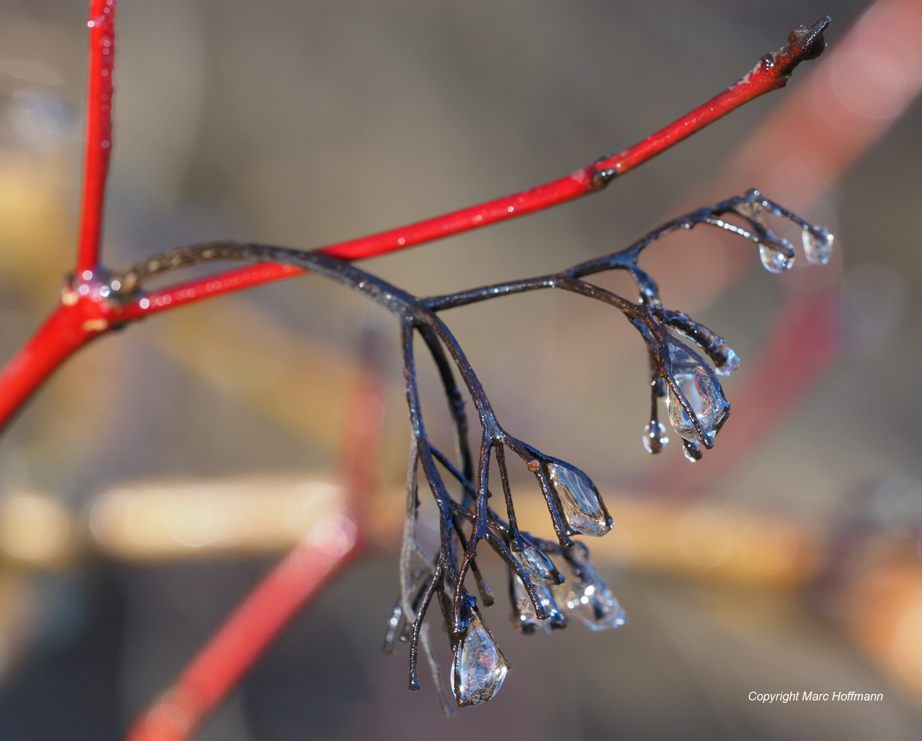 Winterfarben