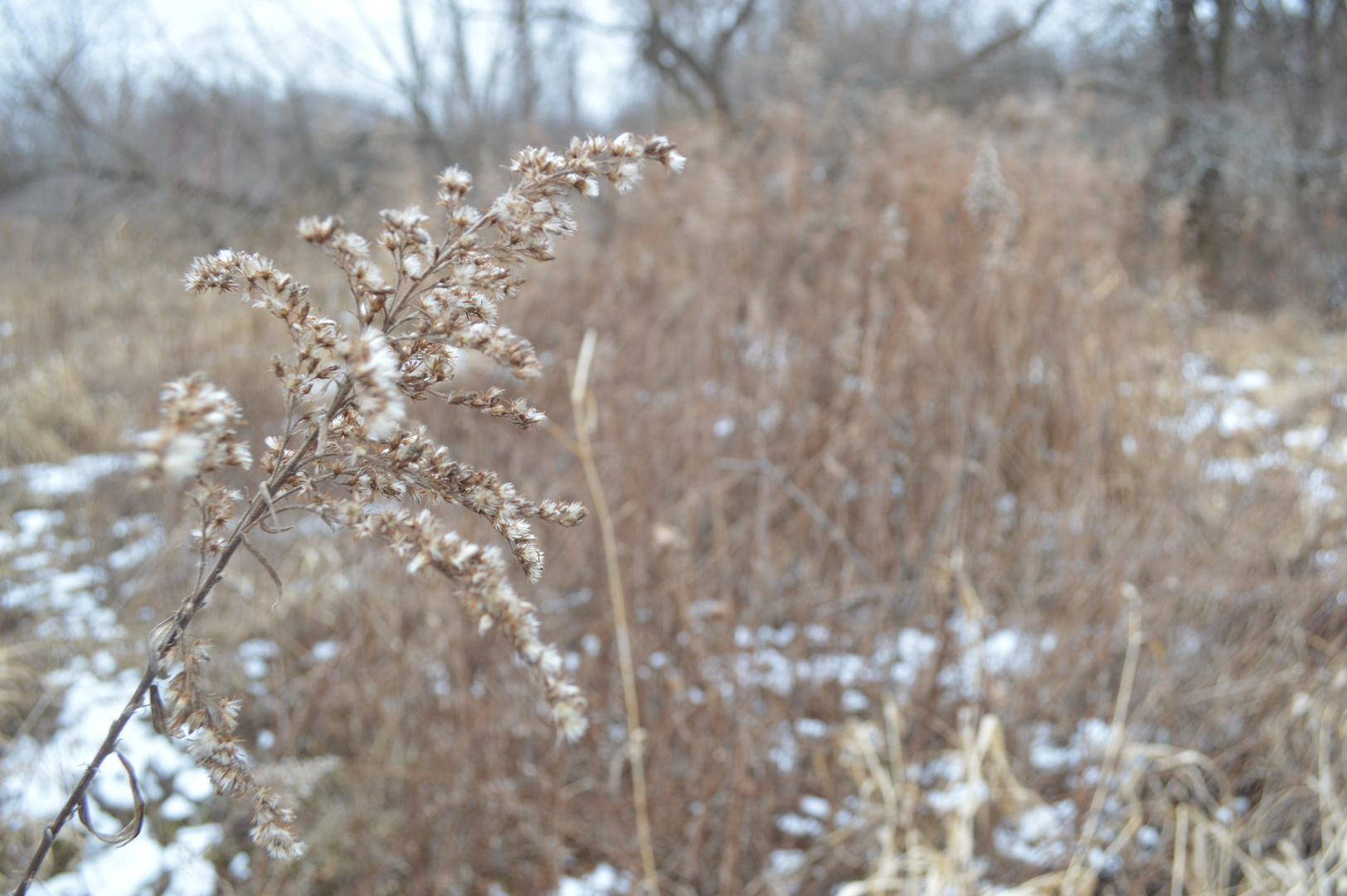 Winterfarben