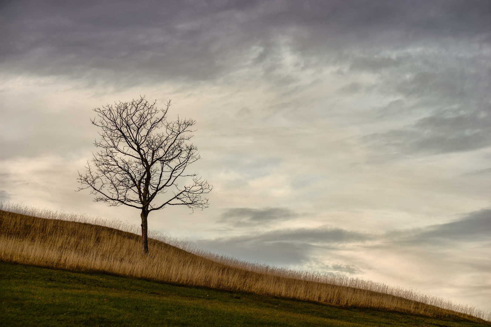 Winterfarben