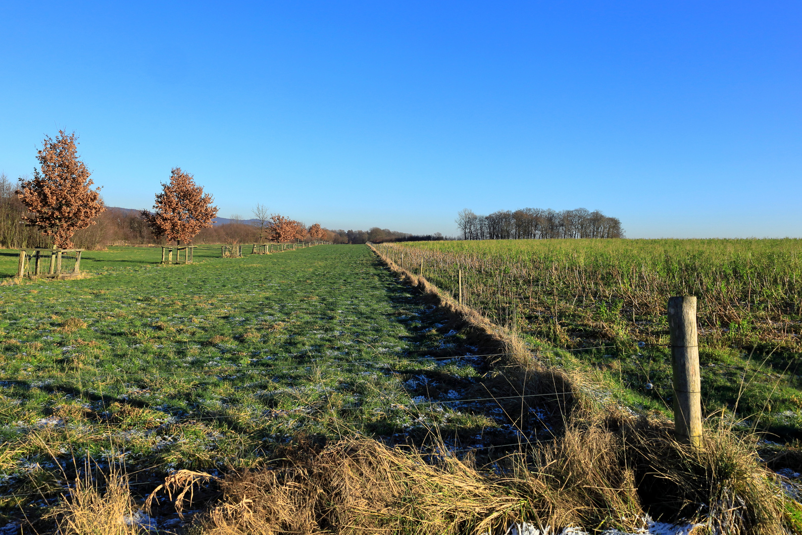 Winterfarben