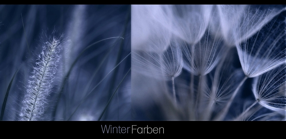 WinterFarben