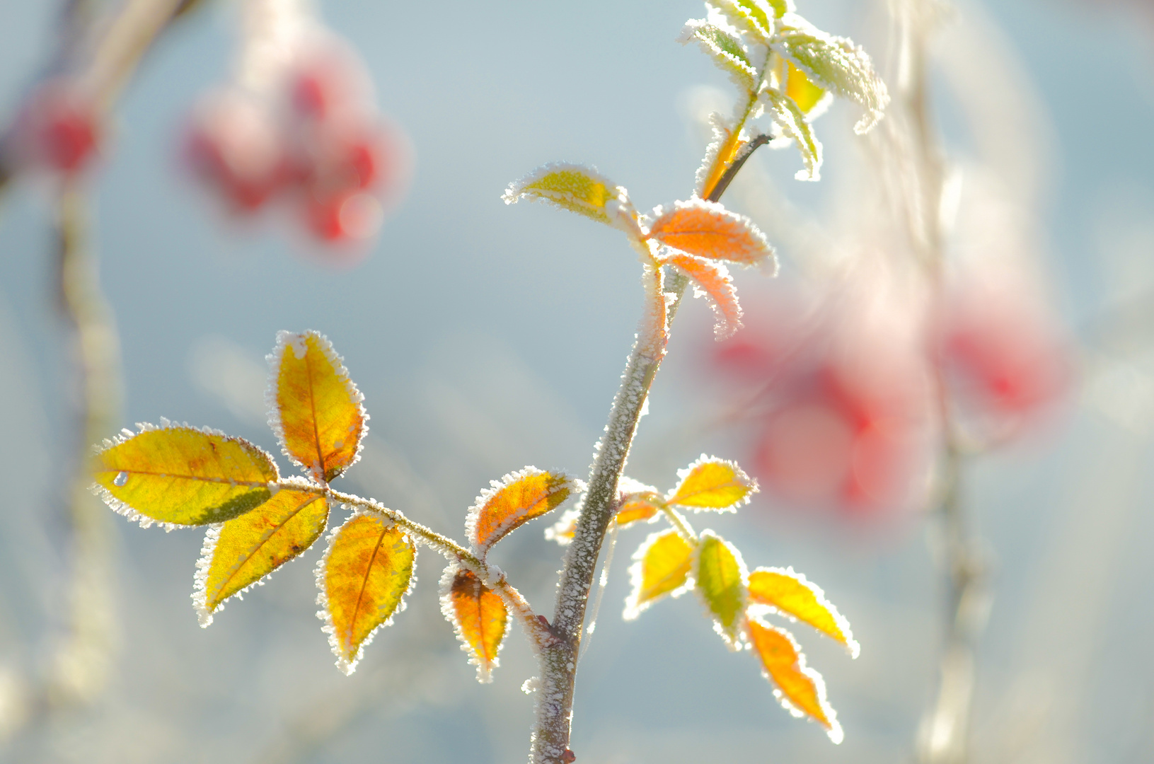 Winterfarben