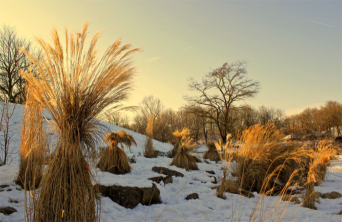 Winterfarben