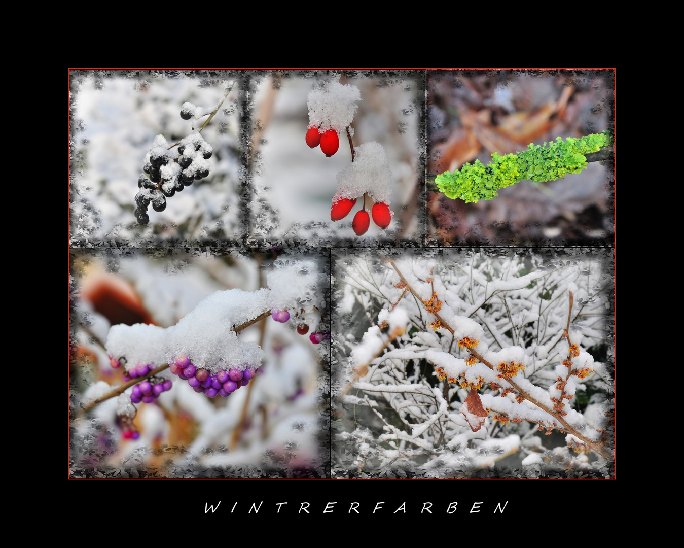 Winterfarben....