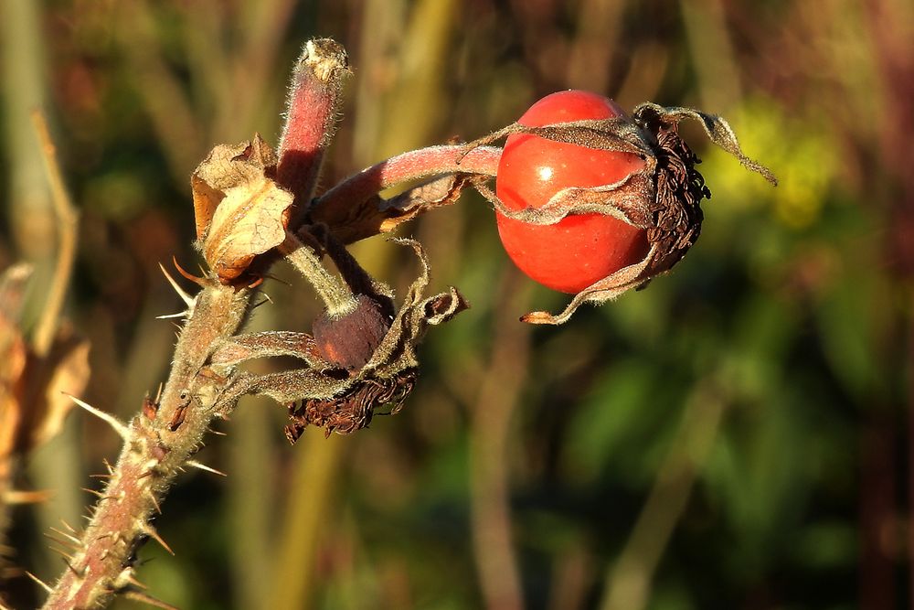 Winterfarben