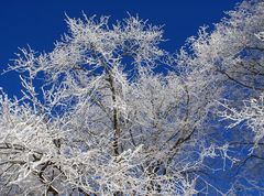 Winterfarben