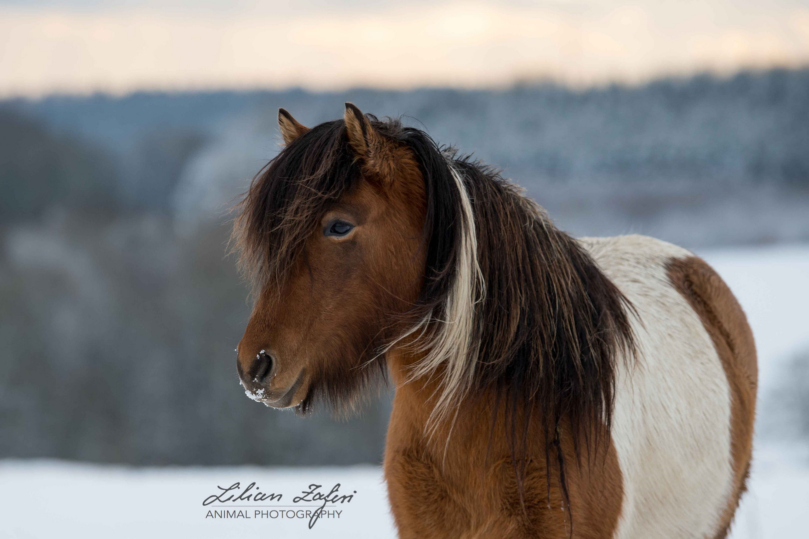 Winterfarben