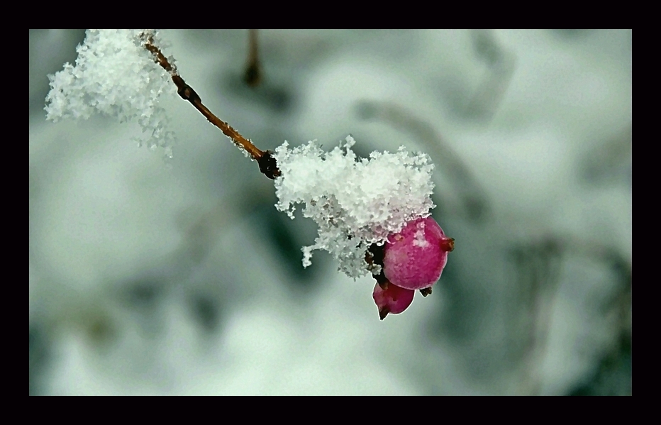 Winterfarben