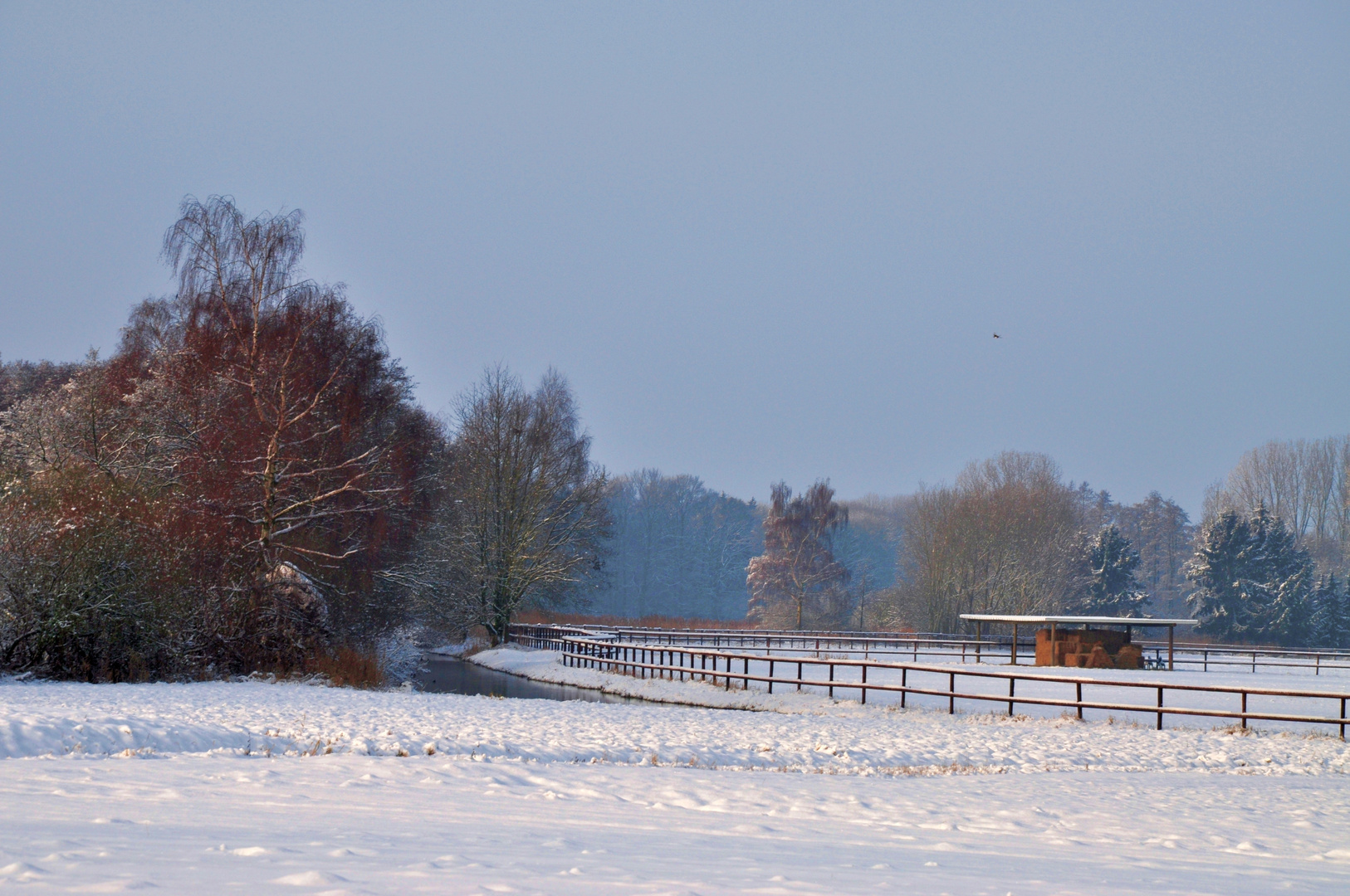 Winterfarben am Wiesenfluss