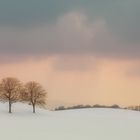 Winterfarben