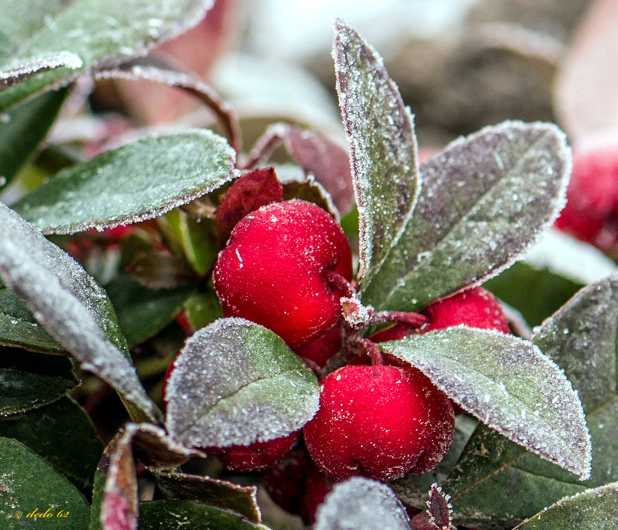 Winterfarben....