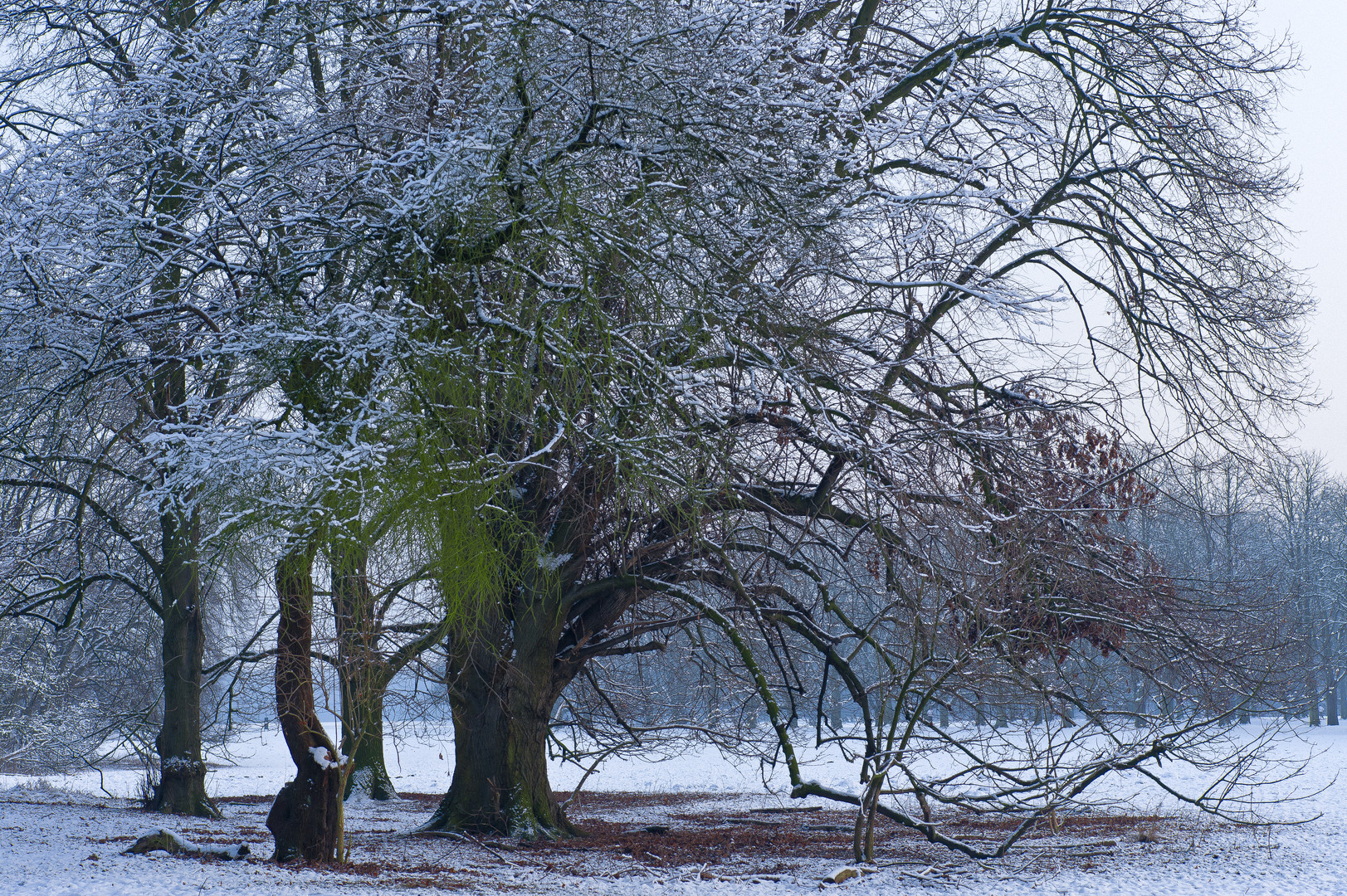 Winterfarben