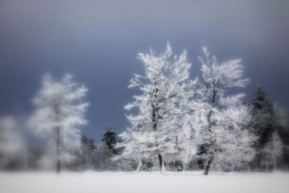 Winterfarben