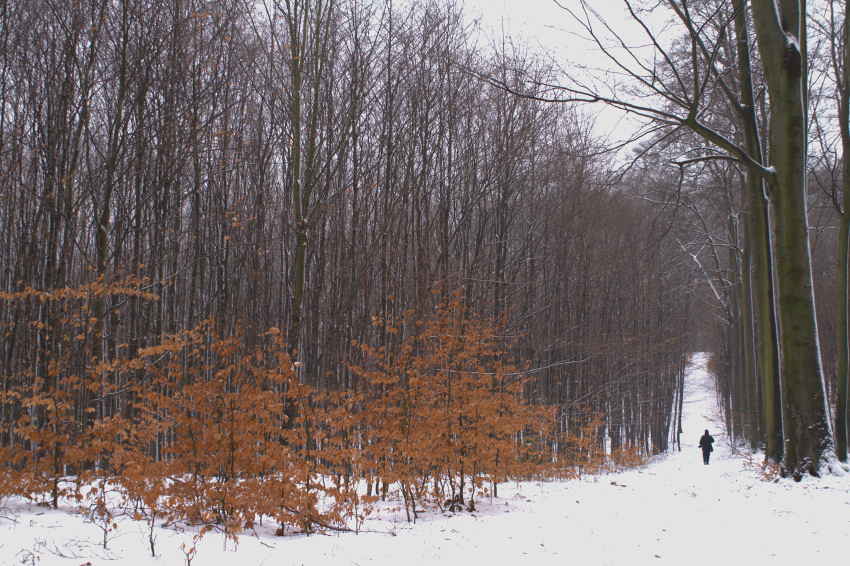 Winterfarben