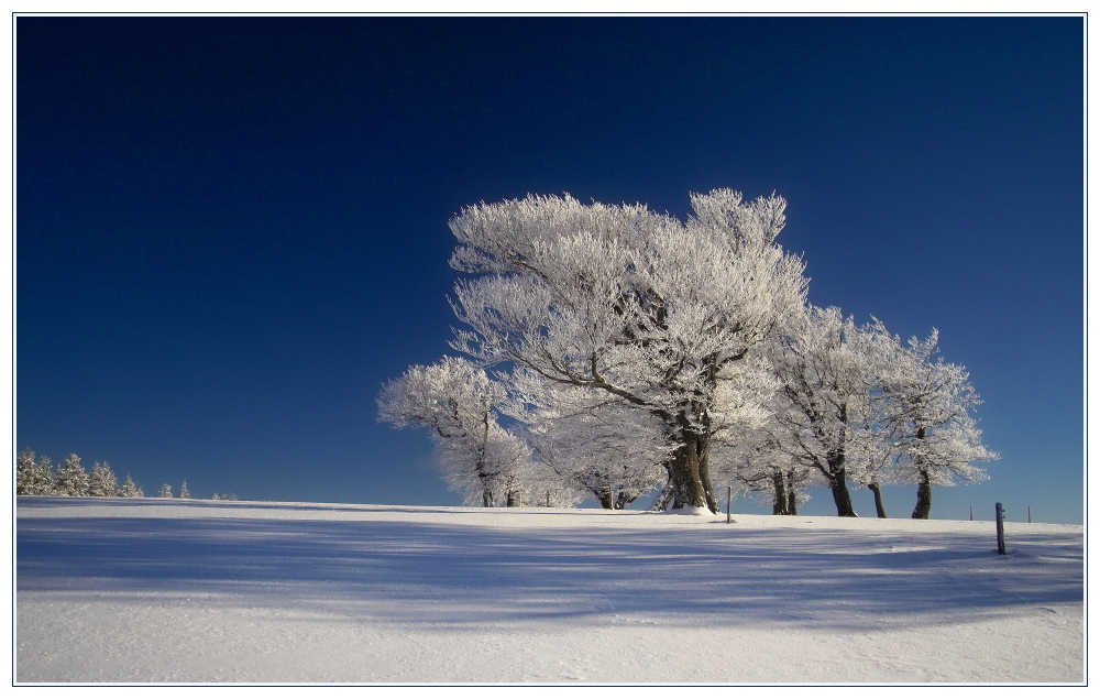 Winterfarben