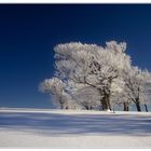 Winterfarben