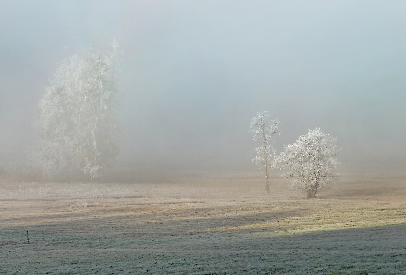 Winterfarben