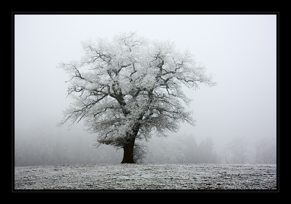 Winterfarben