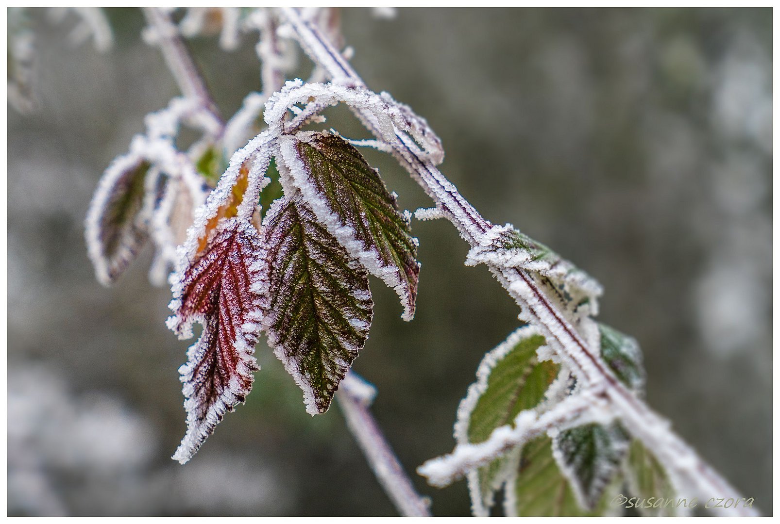 Winterfarben