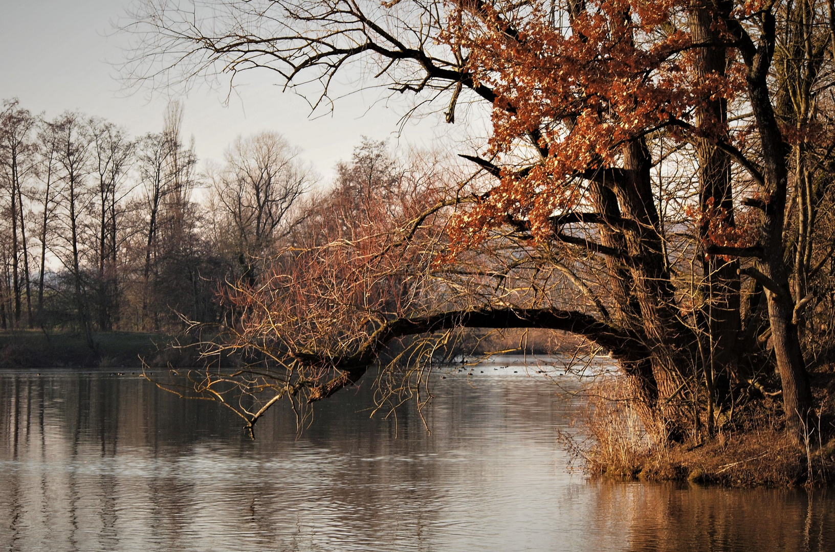 Winterfarben