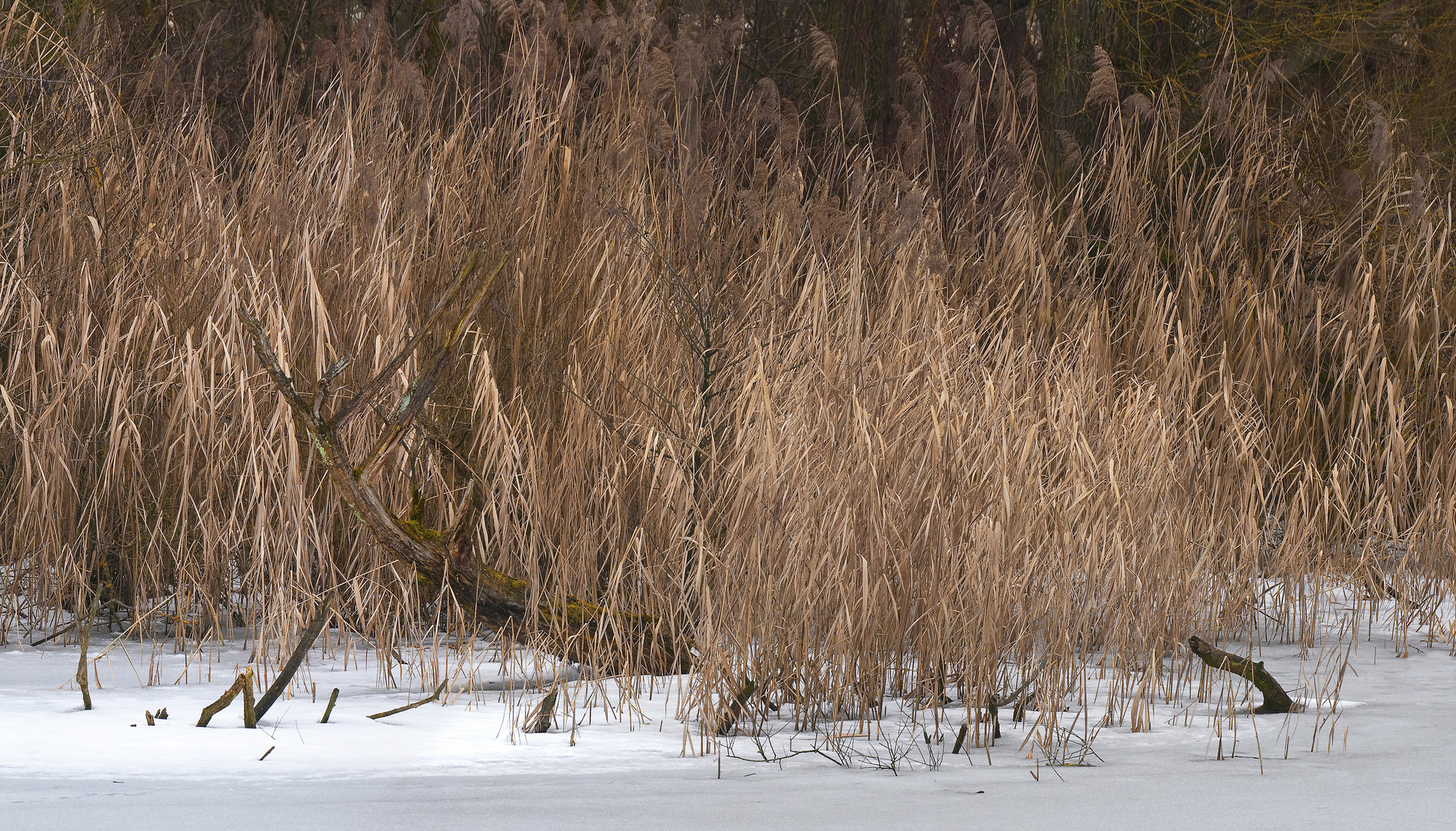 Winterfarben