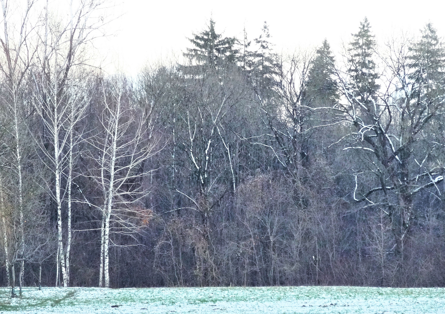 winterfarben im englischen garten