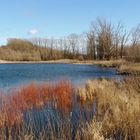 Winterfarben ohne Schnee