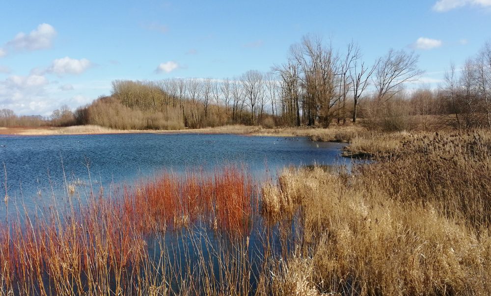 Winterfarben ohne Schnee