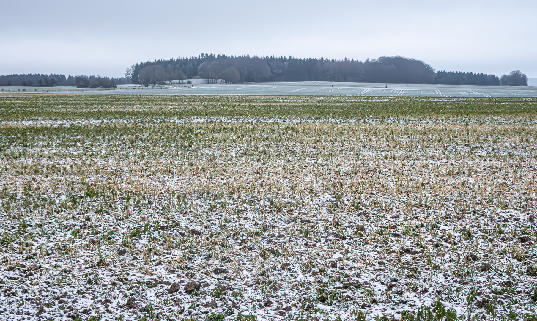 Winterfeldfarbspiel