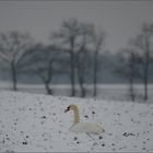 Winterfeldgespräche….,