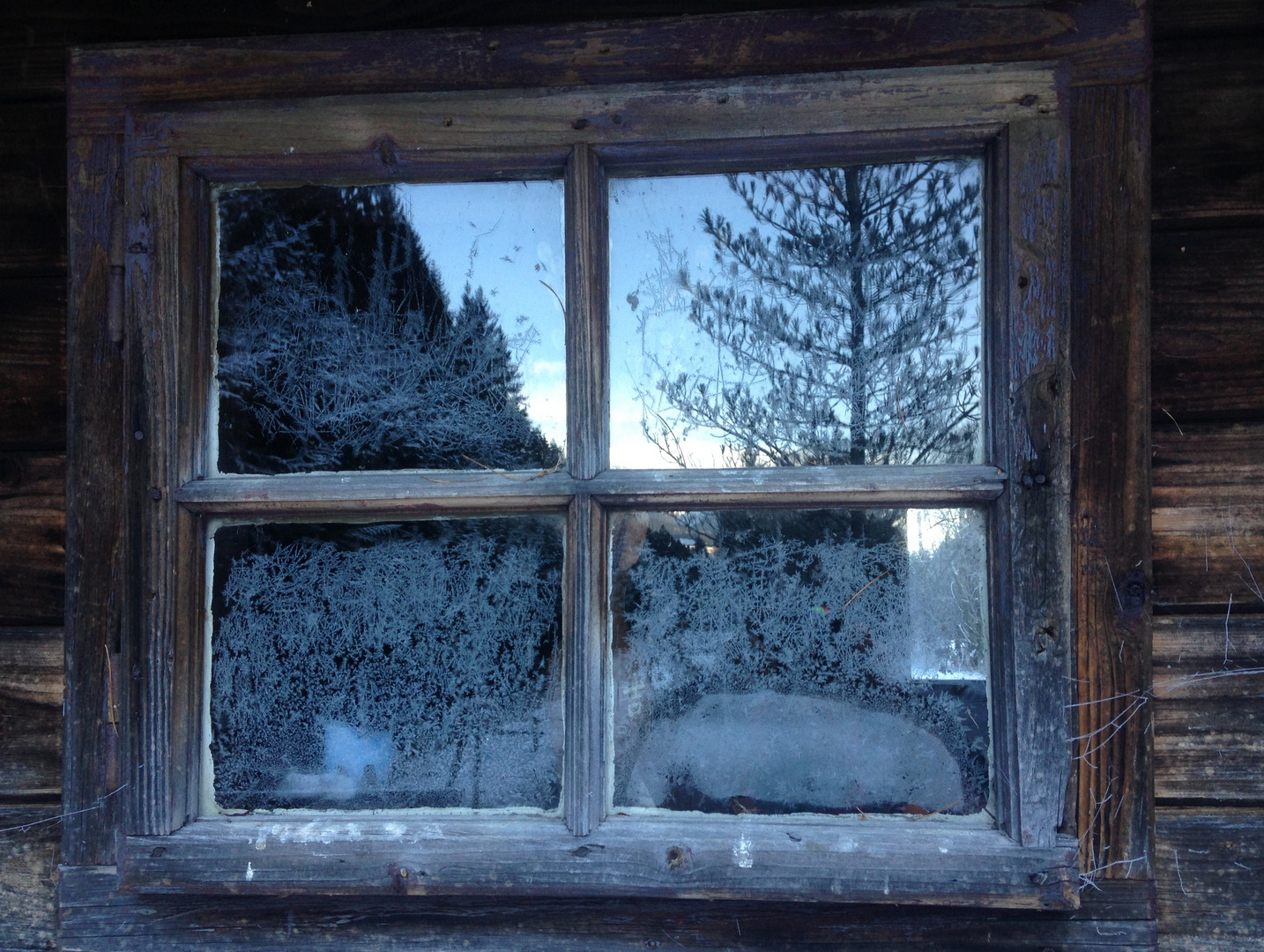 Winterfenster 