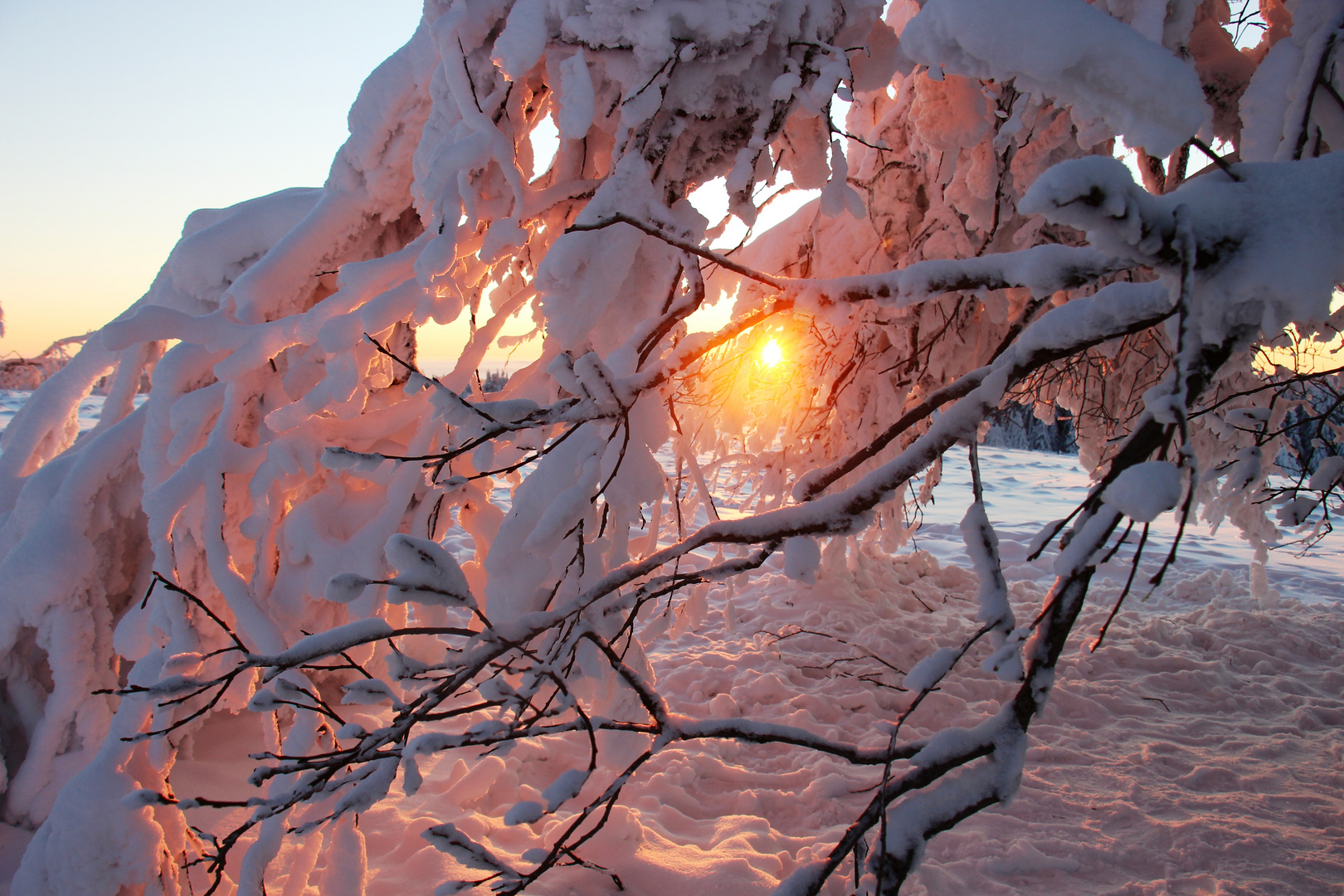 Winterfenster