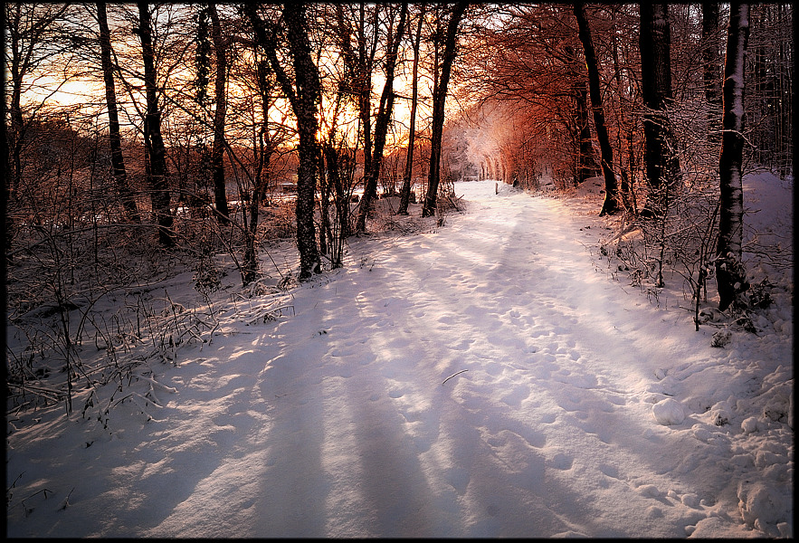 Winterfeuer