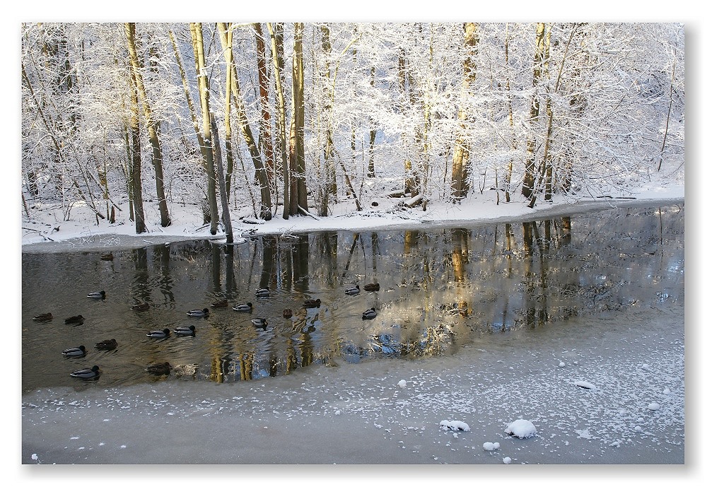 Winterflusslandschaft