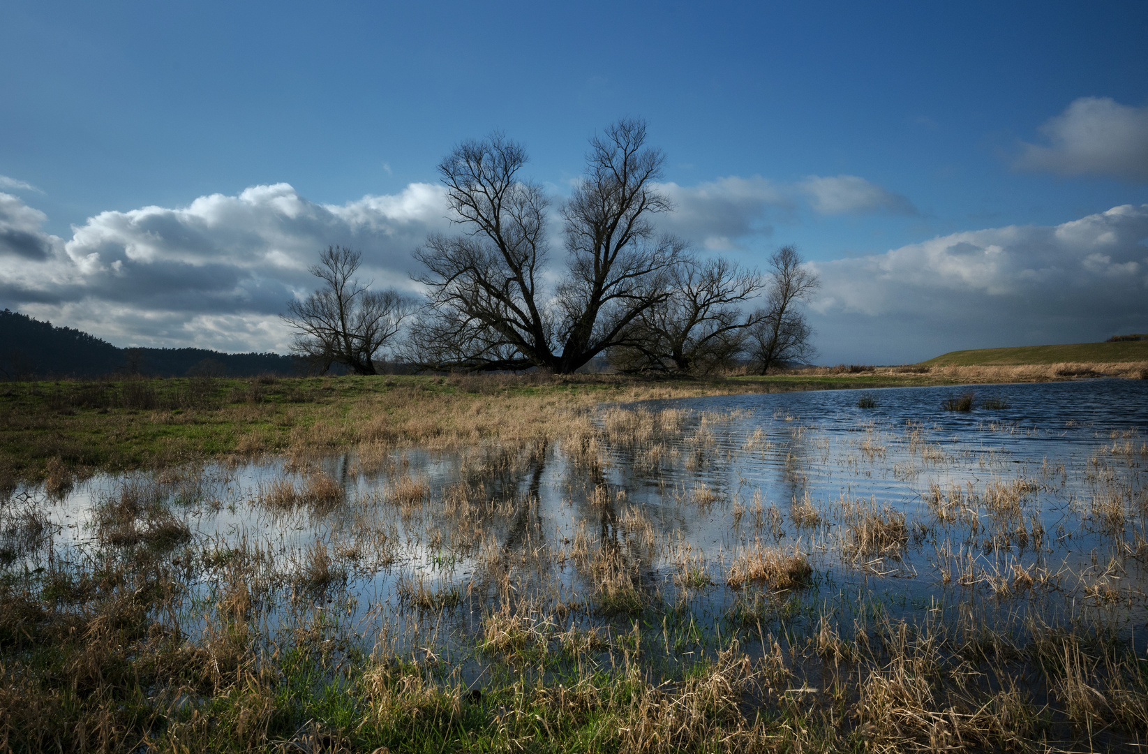 Winterflut an der Elbe