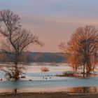 Winterflut an der Elbe