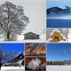 Winterfoto-Nachlese