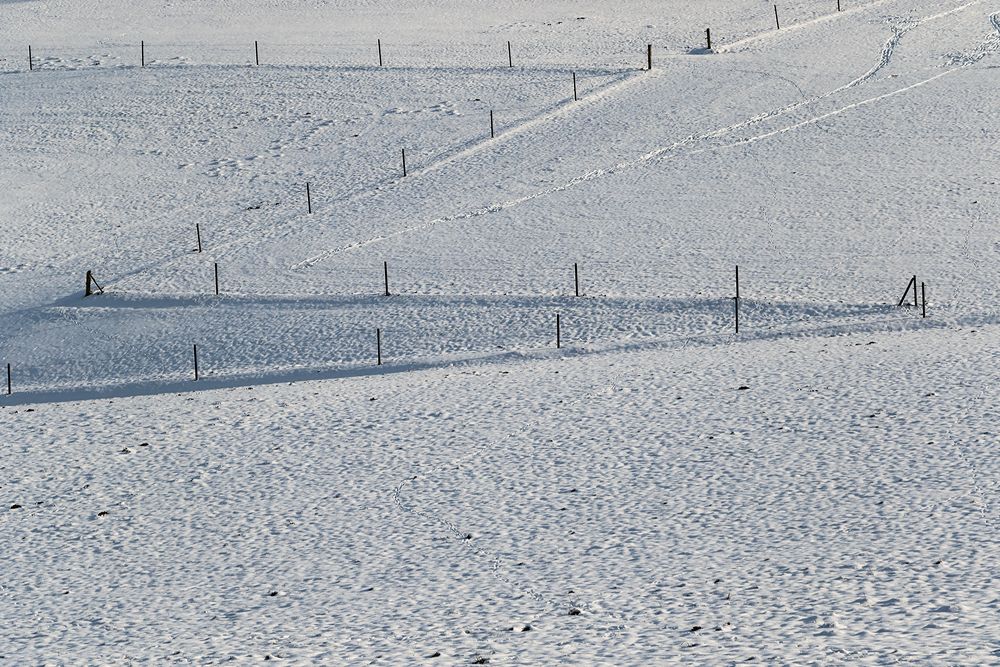 Winterfoto Nr.2