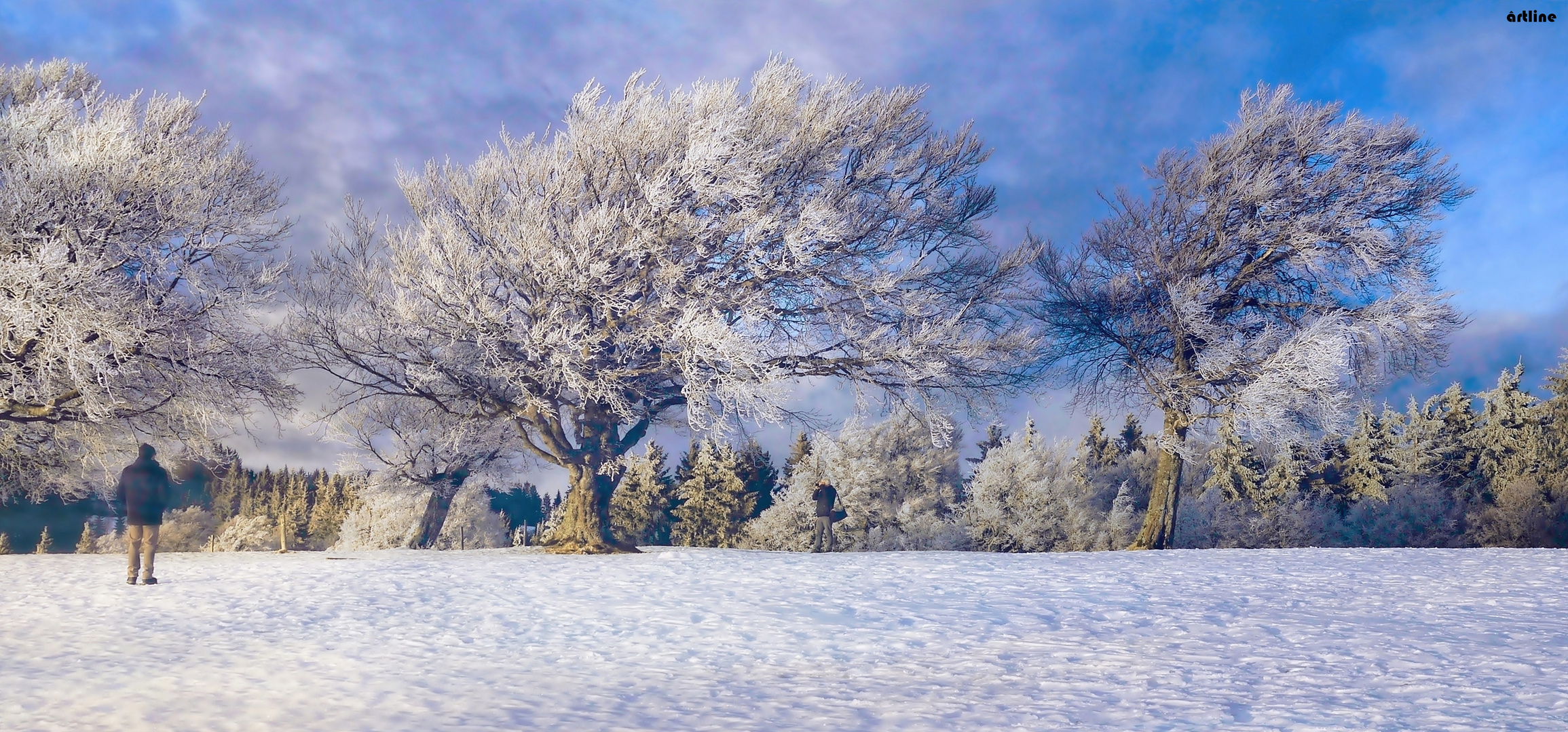 Winterfotografen 