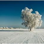 Winterfototour