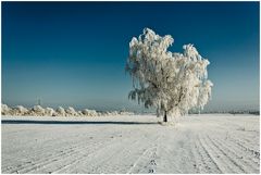 Winterfototour