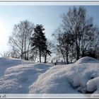 Winterfreud / Winterleid  (mit Gedicht)