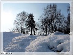 Winterfreud / Winterleid  (mit Gedicht)
